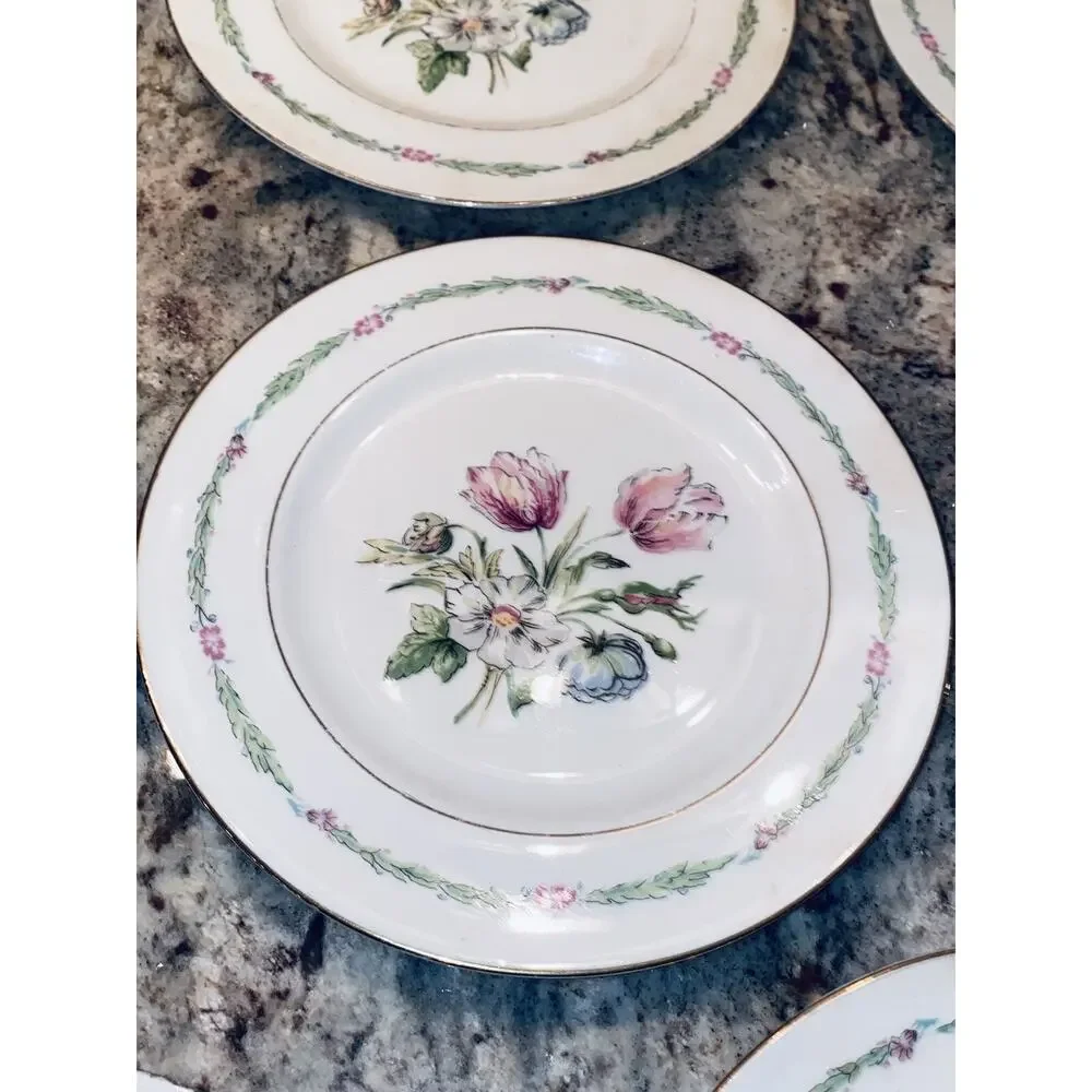 20 Theodore Haviland China New York Garden Flower Dinner Plates Lot Set Vintage